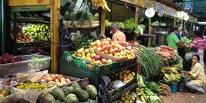 Vegetable stall in the Plaza Minorista